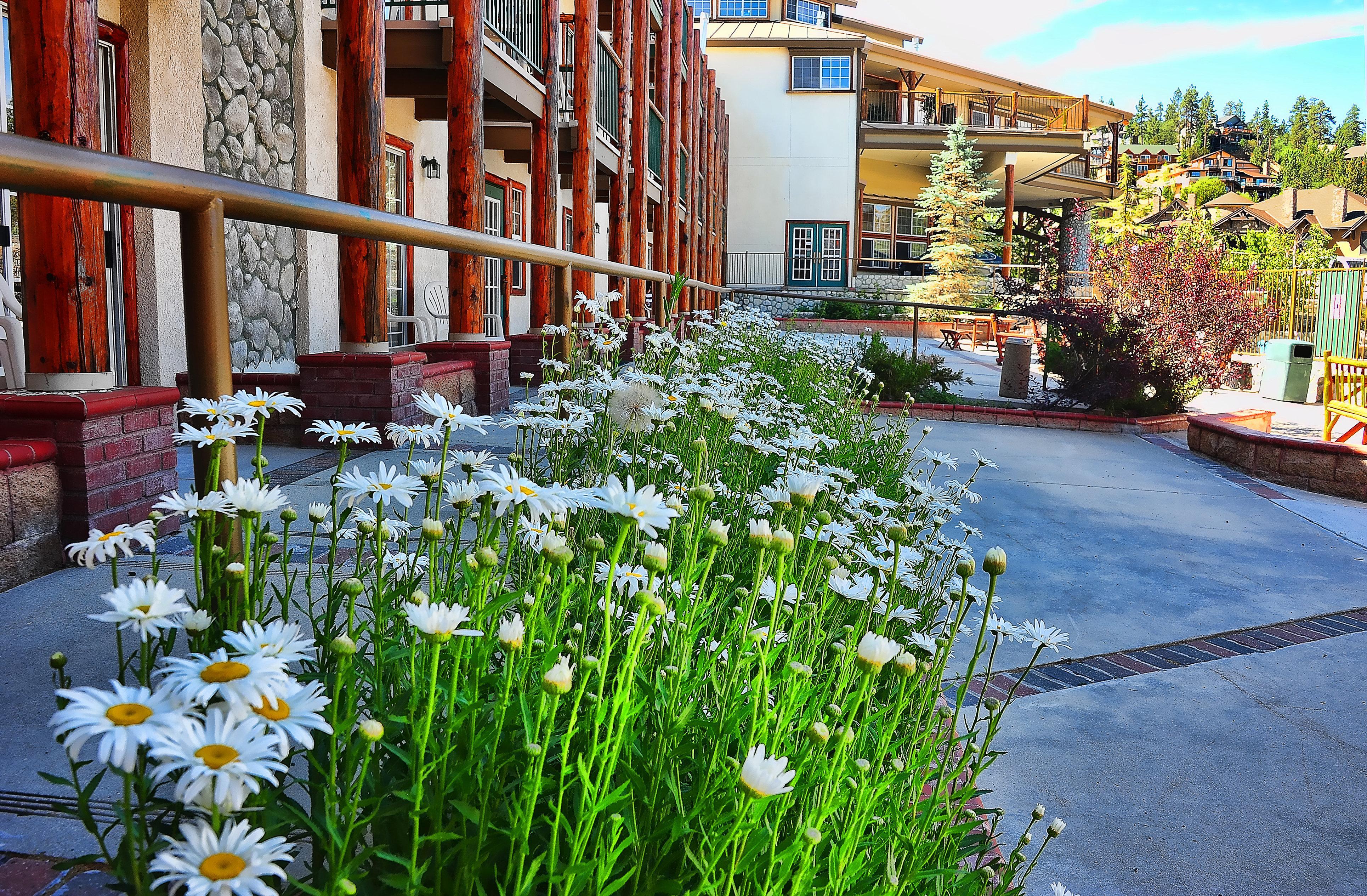 Holiday Inn Resort The Lodge At Big Bear Lake By Ihg Zewnętrze zdjęcie